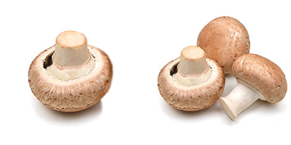 Recette La  moutarderie de Luxembourg